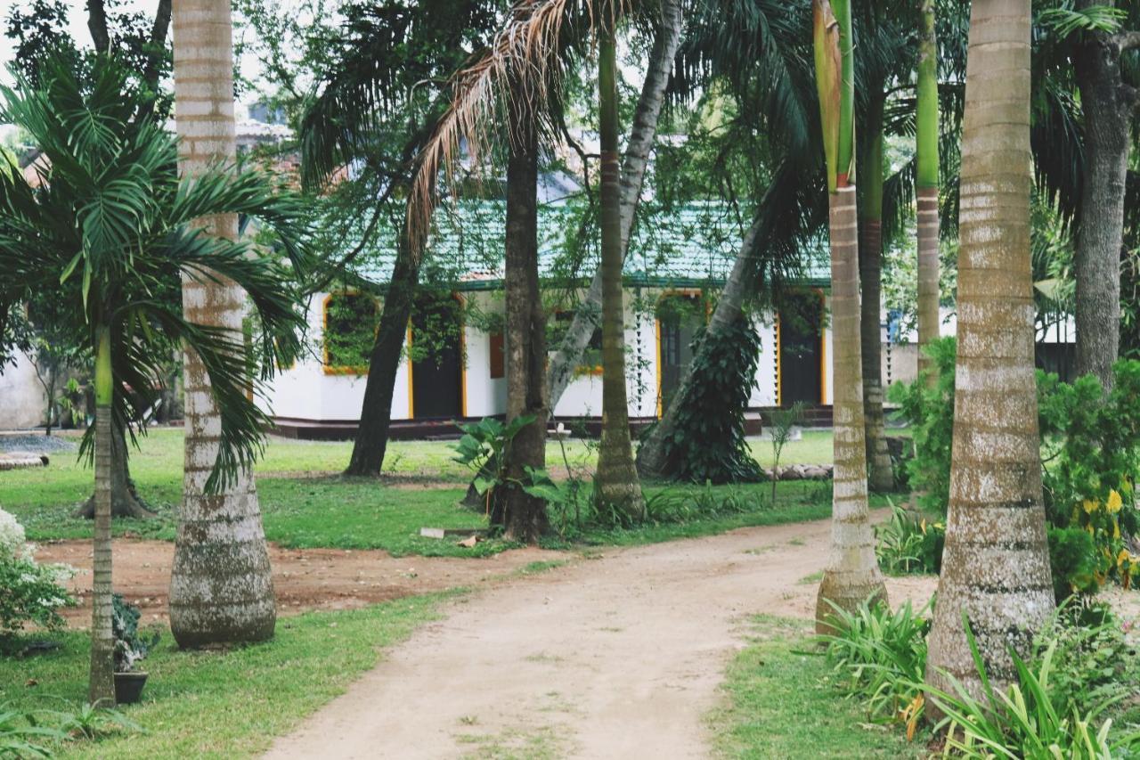 Sea Avenue - Eco Garden Hotel Tangalle Exterior photo